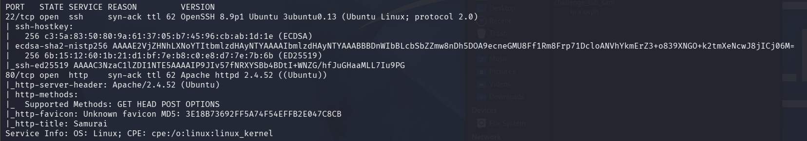 RustScan and Nmap scan
