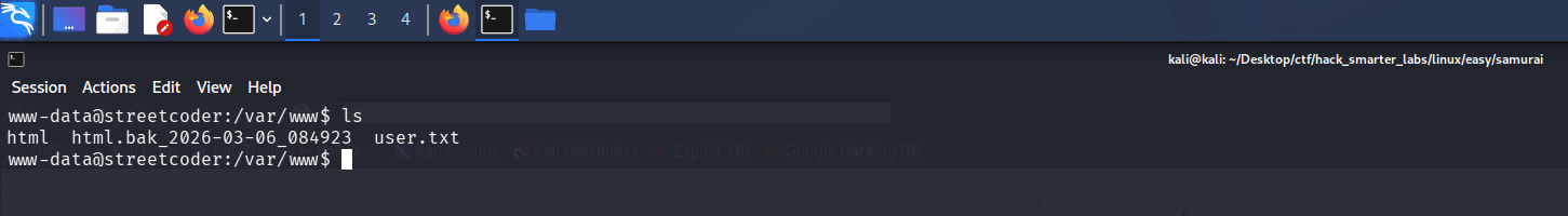 User flag