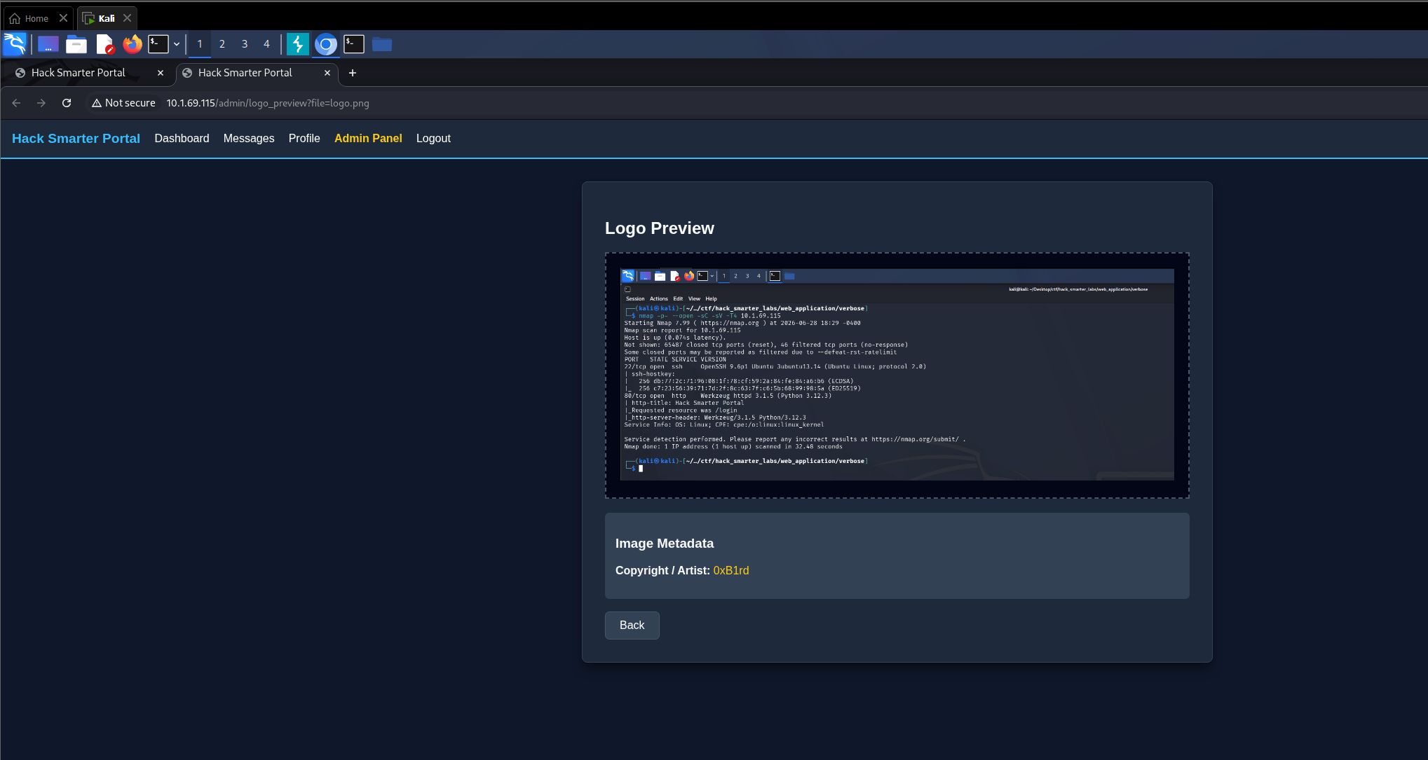Reflected metadata